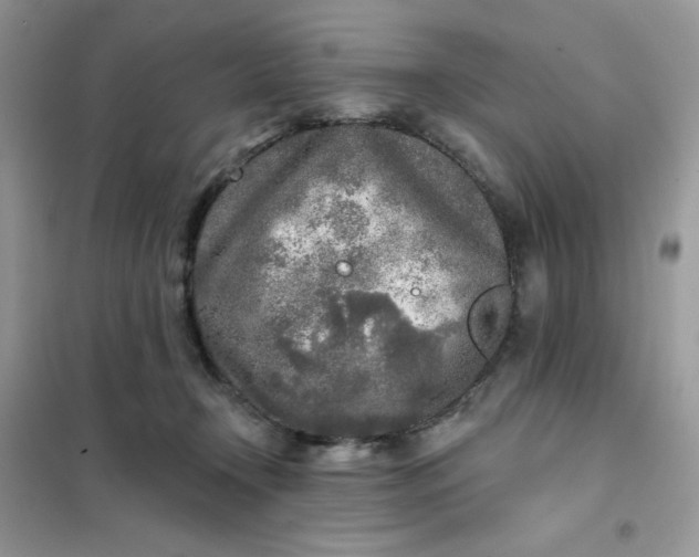 X0000102020366200808011429