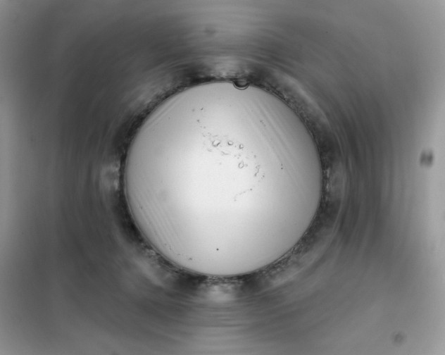 X0000102020368200808011429