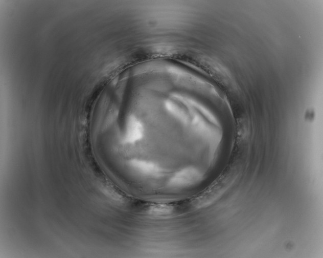 X0000102020369200808011429