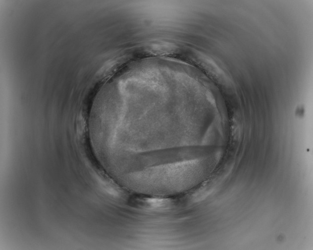 X0000102020371200808011429