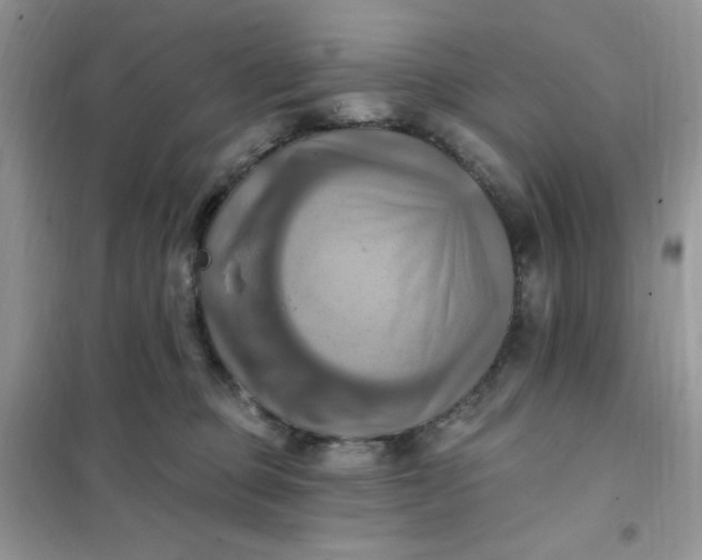 X0000102020373200808011429
