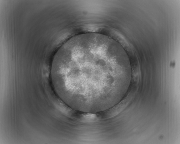 X0000102020374200808011429