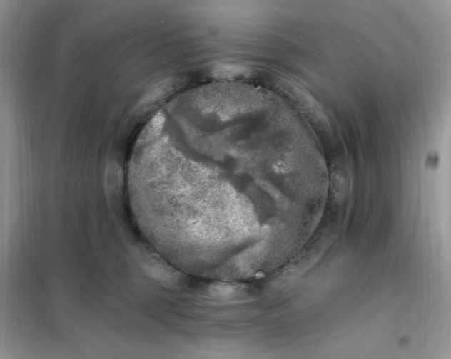 X0000102020375200808011429