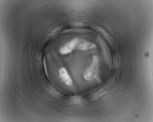 X0000102020377200808011429