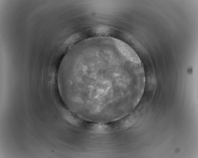 X0000102020379200808011429