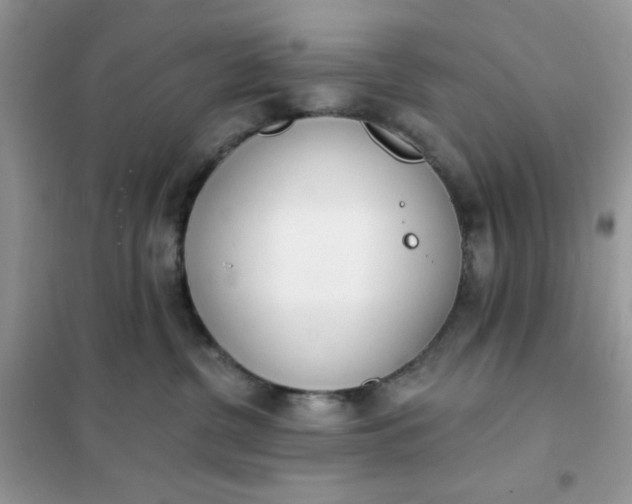 X0000102020380200808011429