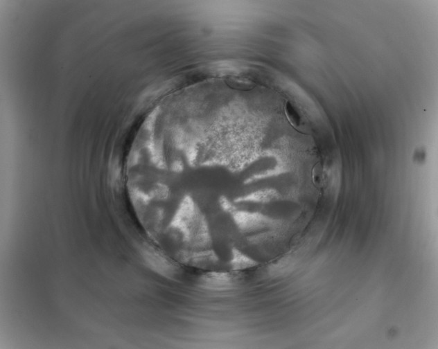 X0000102020381200808011429