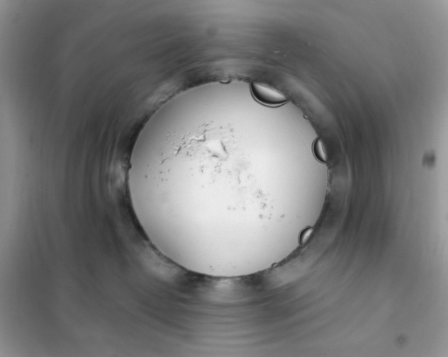 X0000102020382200808011429
