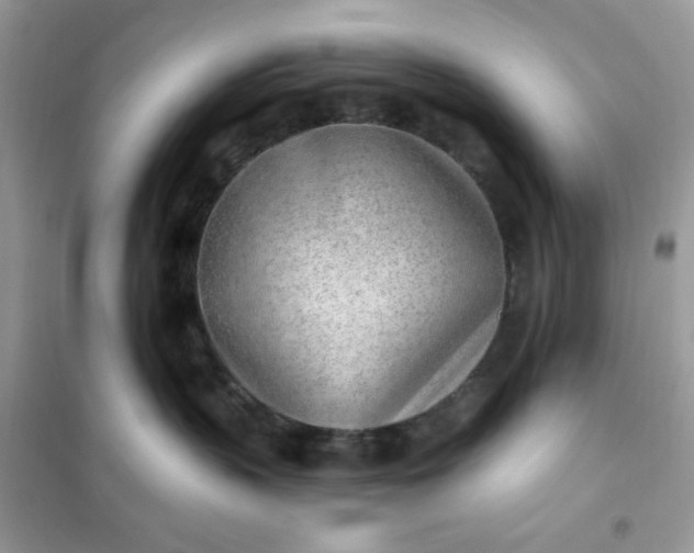 X0000102020383200808011429
