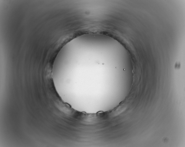 X0000102020384200808011429