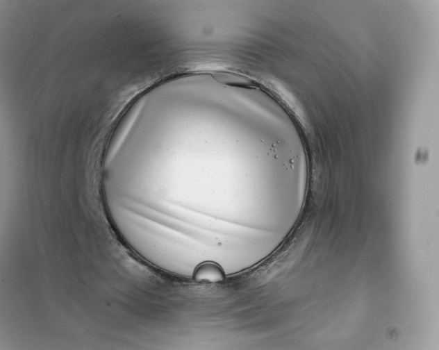 X0000102020385200808011429