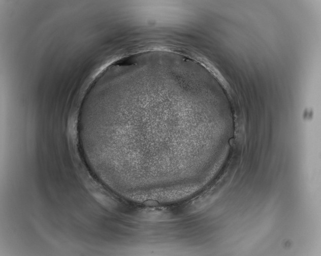 X0000102020386200808011429