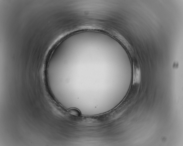 X0000102020387200808011429