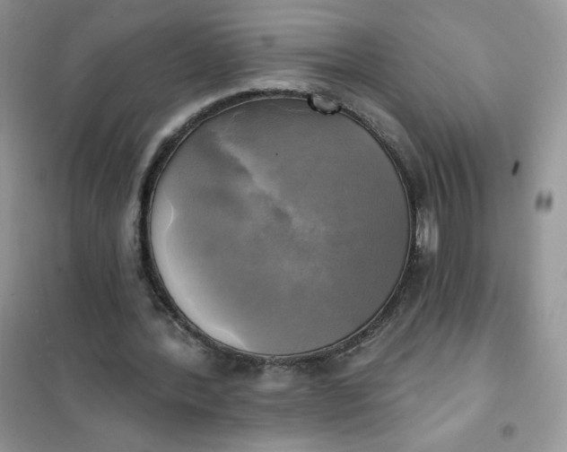 X0000102020388200808011429