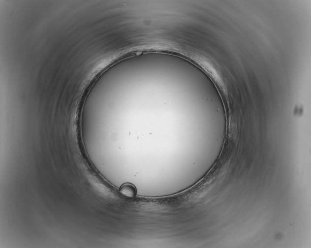 X0000102020389200808011429