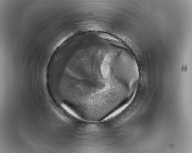 X0000102020390200808011429