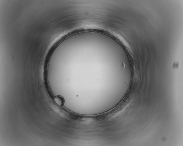 X0000102020391200808011429