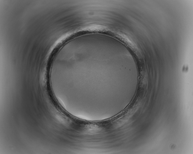 X0000102020392200808011429