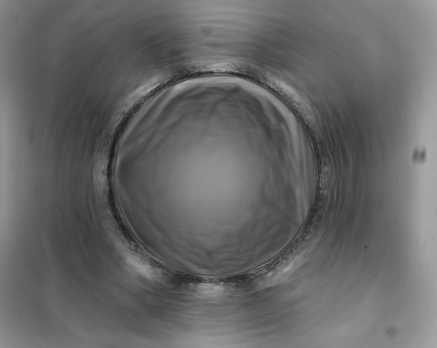 X0000102020394200808011429