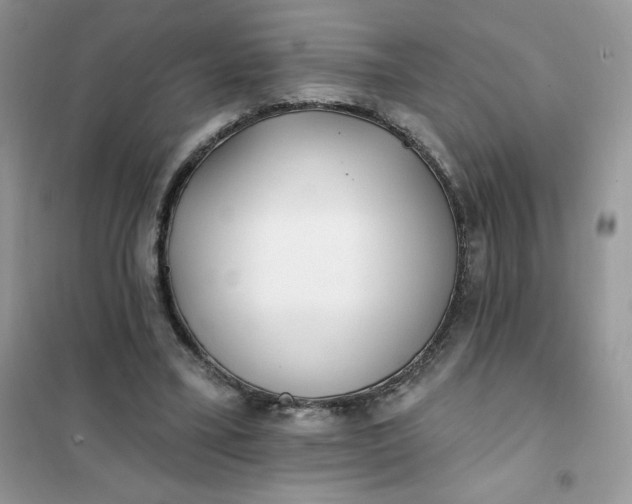 X0000102020395200808011429