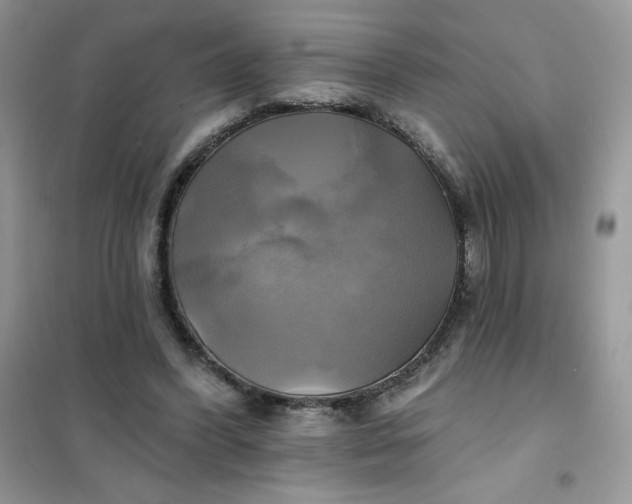 X0000102020396200808011429