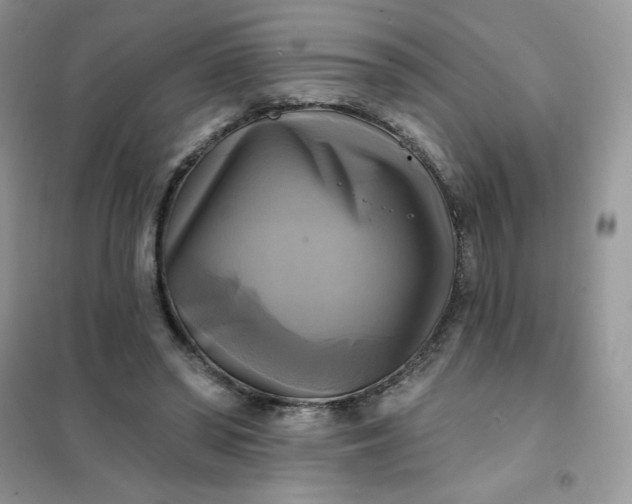 X0000102020398200808011429