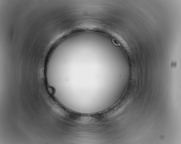 X0000102020399200808011429