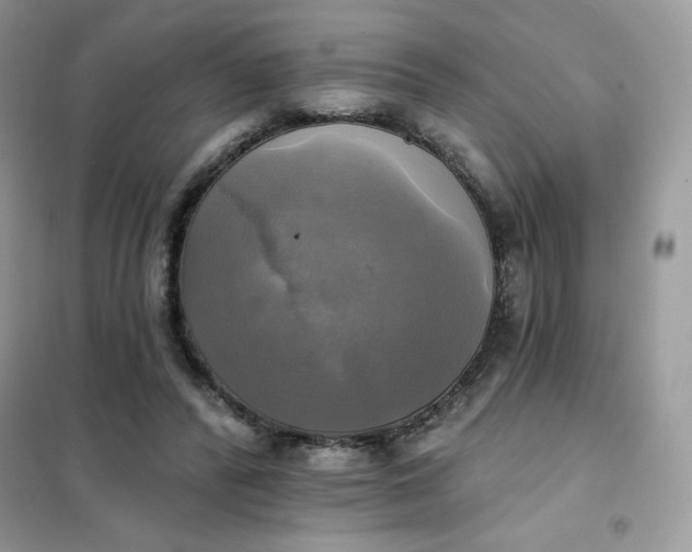 X0000102020400200808011429