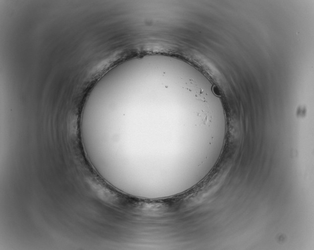 X0000102020401200808011429