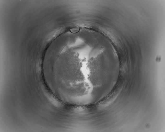 X0000102020402200808011429