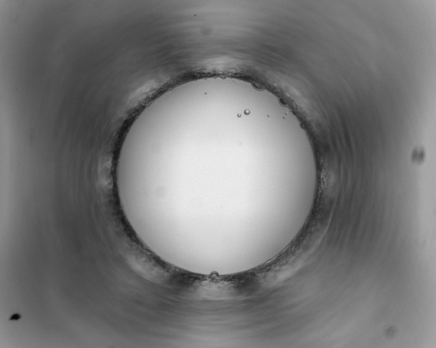 X0000102020403200808011428