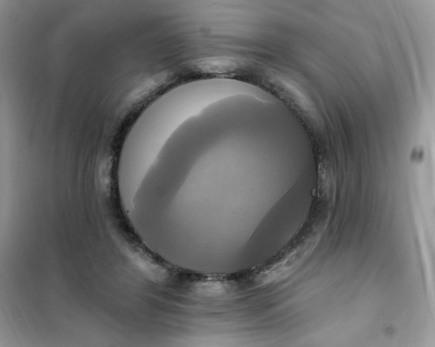 X0000102020404200808011428