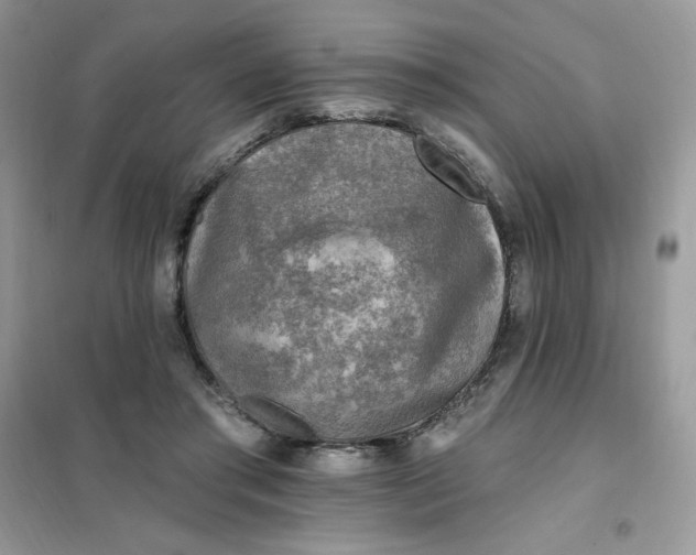X0000102020405200808011428