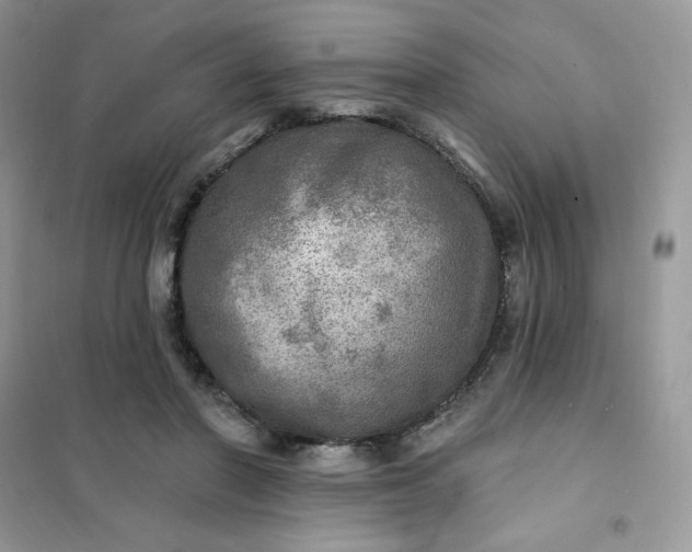 X0000102020406200808011428