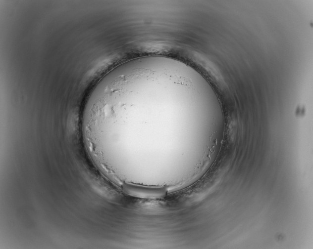X0000102020407200808011428
