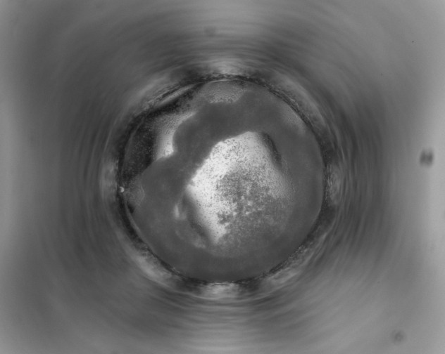 X0000102020410200808011428