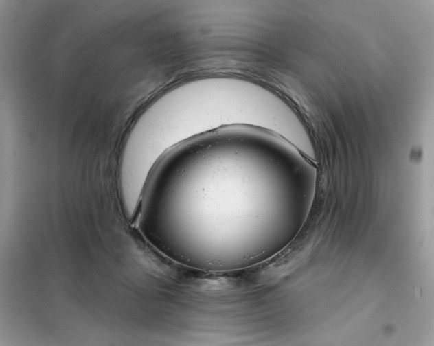 X0000102020411200808011428