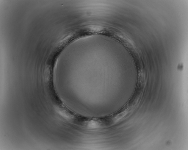 X0000102020412200808011428