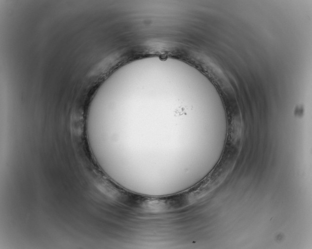 X0000102020413200808011428