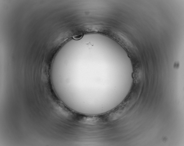 X0000102020414200808011428