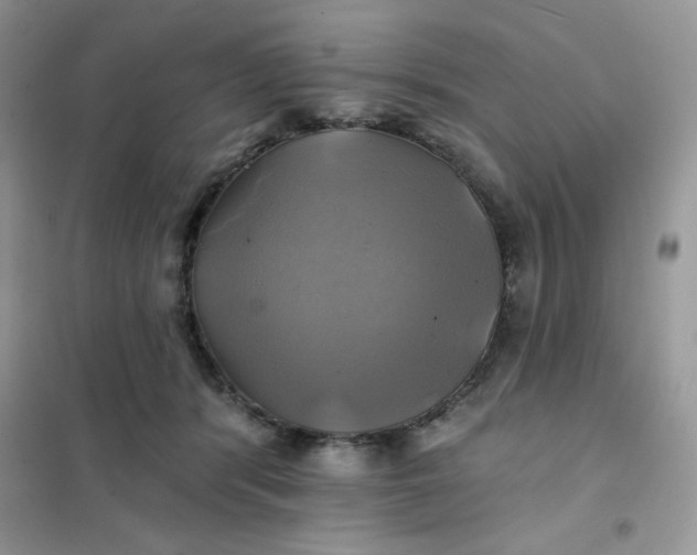 X0000102020416200808011428