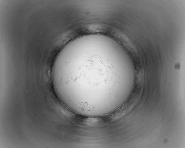 X0000102020418200808011428