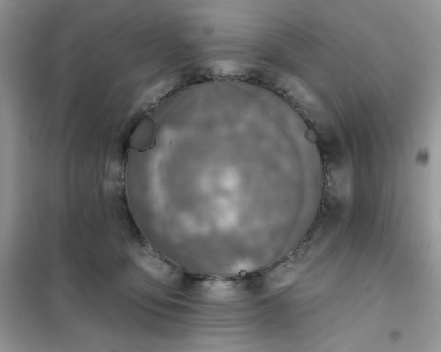 X0000102020419200808011428