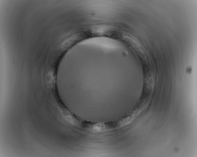 X0000102020420200808011428