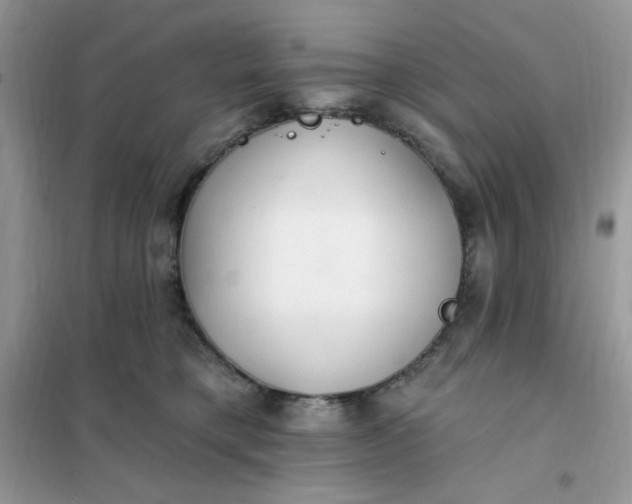 X0000102020421200808011428