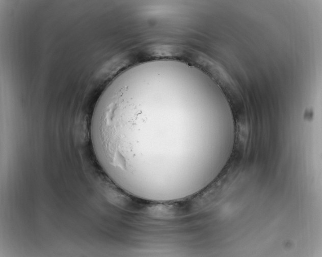X0000102020422200808011428