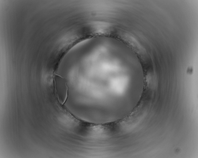 X0000102020423200808011428