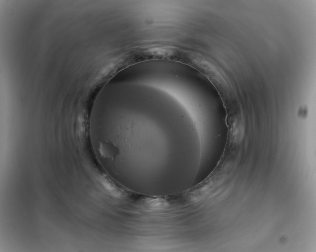 X0000102020424200808011428