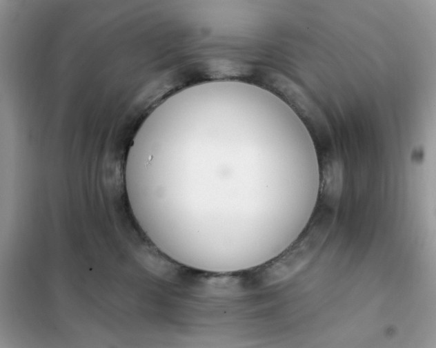 X0000102020426200808011428