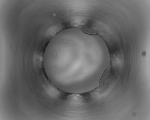 X0000102020427200808011428